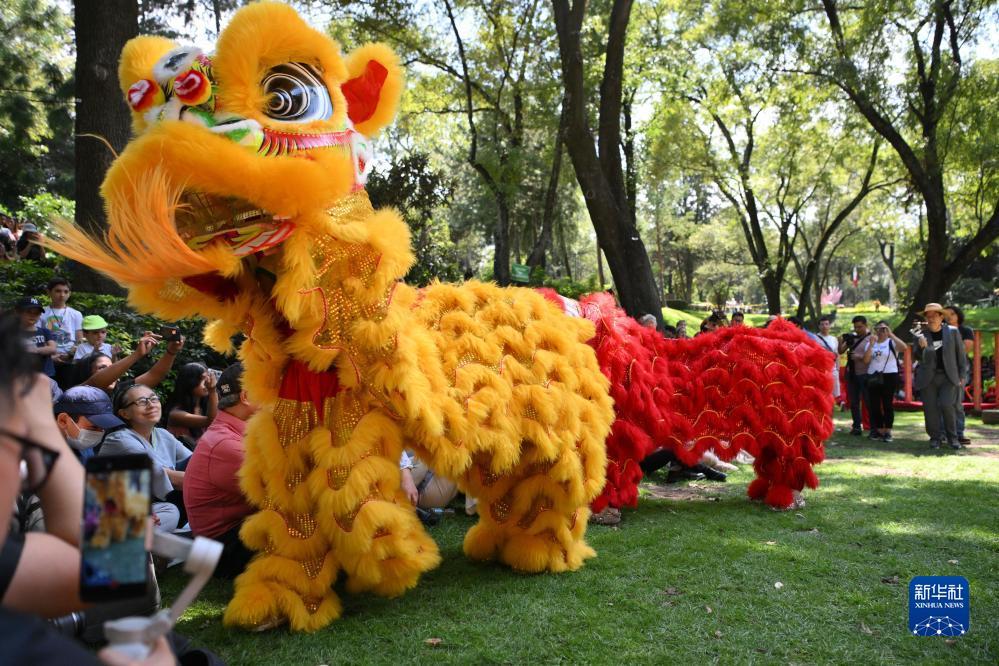 澳门三合揽珠历史开奖